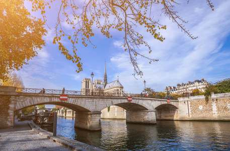 巴黎圣母院大教堂，阳光明媚的秋天下午。 围网河堤。 当地人和游客在温暖的天气里散步和放松。 模糊的无法辨认的脸。 巴黎。 法国。