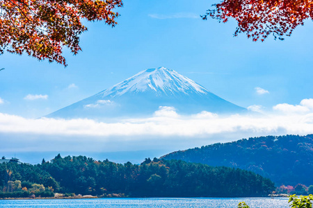 秋季环湖枫叶树的富士山美景