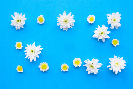 白花的组成。 蓝纸背景上的菊花