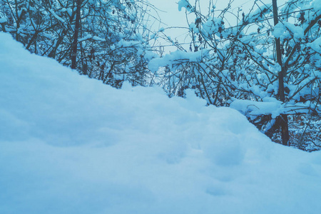 公园里覆盖着雪。 冬天公园里的雪堆。 大自然的冬天背景。 冬天的自然。 圣诞节背景