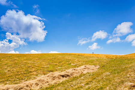 沧海天地之间图片