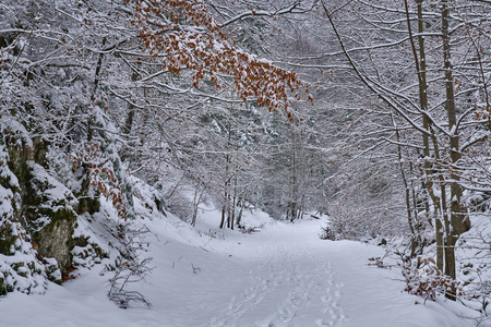 穿过峡谷的道路上覆盖着白雪