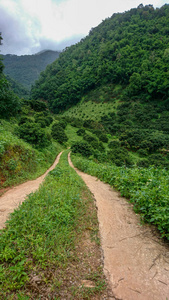 云和天空在山上的路径