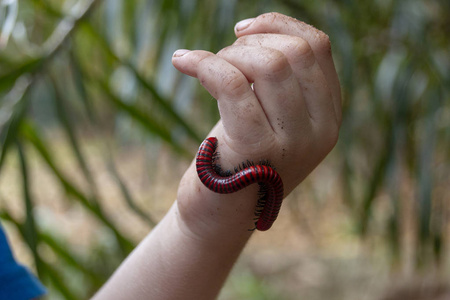 丁香花漂浮在注入水和女人手千禧粉红色背景复制空间最小风格模板文本