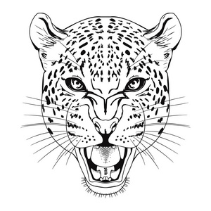 动物的嘴图片-动物的嘴素材-动物的嘴插画-摄图新视界