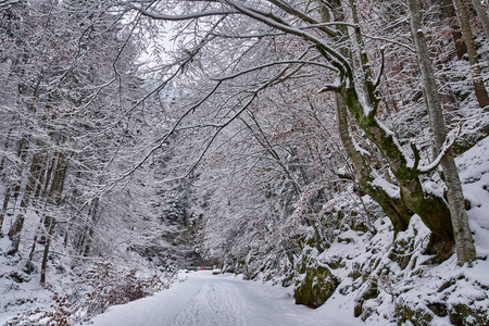 峡谷中布满积雪的道路景观