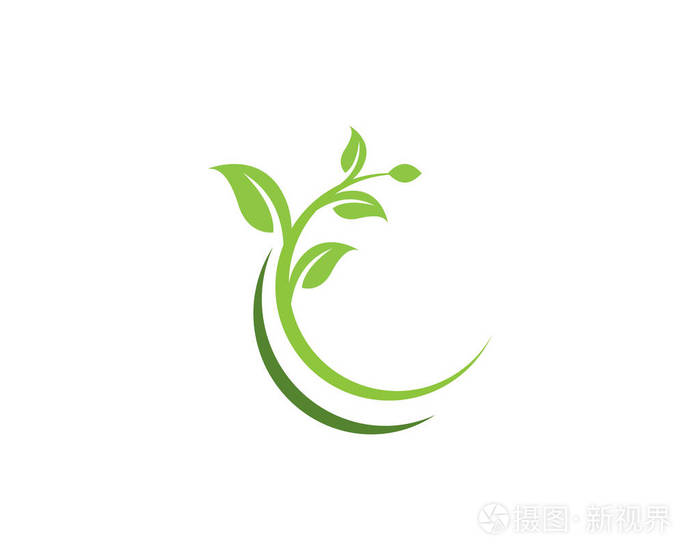 树叶矢量图标插图设计模板