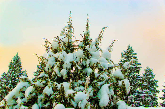 俄罗斯省的冬季景观..谢尔盖耶夫波，
