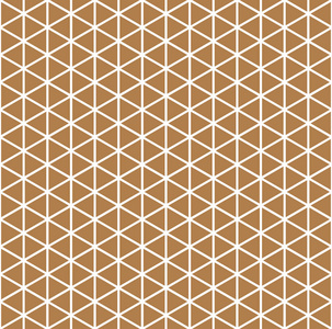 现代时尚的纹理与树篱. 对角线网格线. 矢量和插图照片