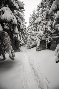 雪覆盖徒步旅行小径，靠近马尔乔尔山，贝洛，莱萨，霍拉山，冬季，捷克共和国，莫拉夫斯科尔斯克，贝斯基山。
