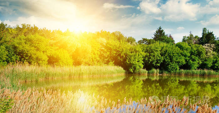 的风景如画的湖在海岸上有一片森林生长在蓝天上有一个明亮的日出宽幅