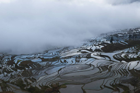 s Yunnan province, 27 February 2018.