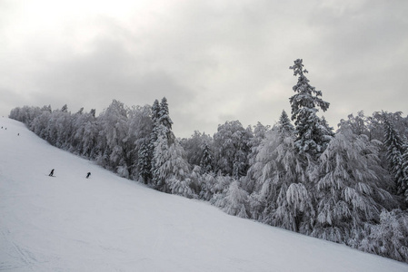 冬天的山，白雪覆盖的树木和风景，人们滑雪
