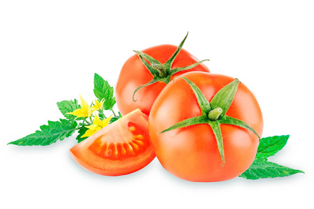 在白色背景上与叶子分组的西红柿