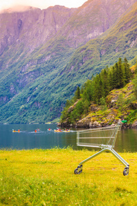自然界中的随机购物车手推车。挪威绿色背景景观..旅游，购买理念..