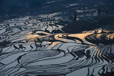 云南彝族s yunnan province, 27 february 2018.照片