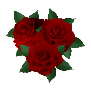 一束鲜红的玫瑰。 白色背景上的花。