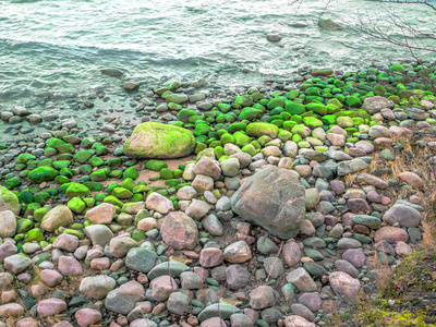 stenar med tng p stranden