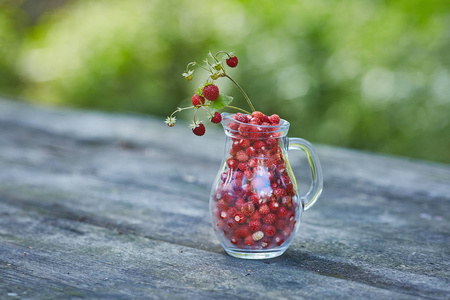 森林草莓聚集在夏天从森林中采摘的罐子里
