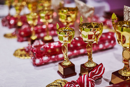为体育比赛锦标赛和奖牌的仪式准备奖励礼品和杯子