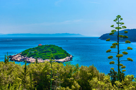 地中海岛屿夏季景观。 维斯镇克罗地亚旅游目的地前面的风景如画的小岛上。