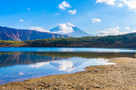 日本大林湖边枫叶树的富士山美景