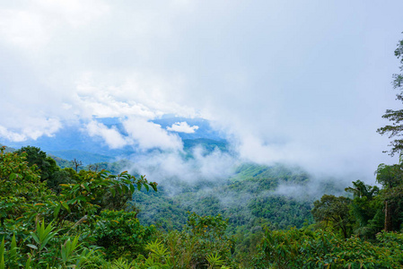 早上在泰国南道1715 Doi Phu Kha国家公园眺望山脉和雾海