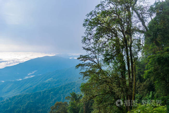 早上在泰国南道1715 Doi Phu Kha国家公园眺望山脉和雾海