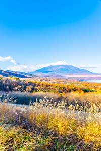 日本秋季稻子或山坂湖富士山的美丽景观