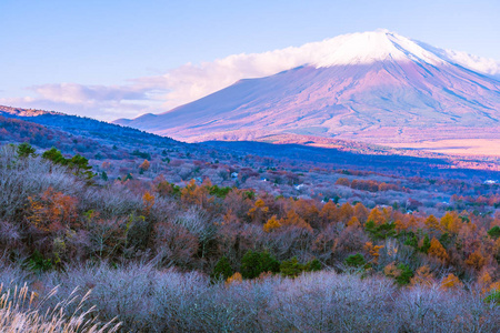 日本秋季稻子或稻子湖富士山的美丽景观