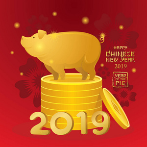 黄金猪站在硬币上，中国2019年新年，生肖，节日，问候和庆祝