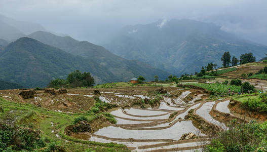 越南北部雨季美丽的梯田。