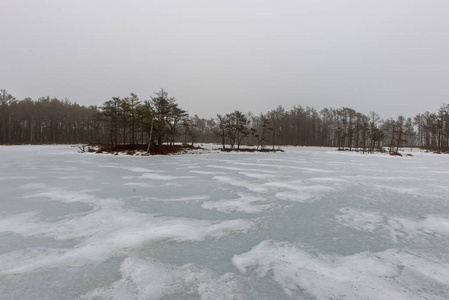 雾蒙蒙的冬日观冻林湖