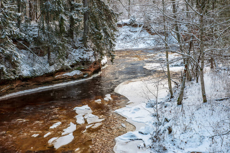 拉脱维亚冬季森林阿马塔河风景
