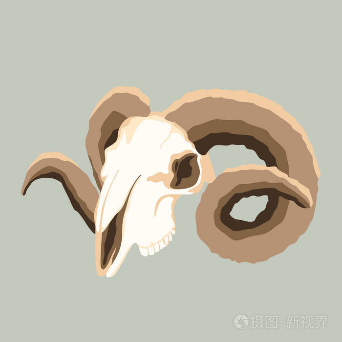 公羊头骨, 矢量插图, 扁平风格插画-正版商用图片16nelw-摄图新视界