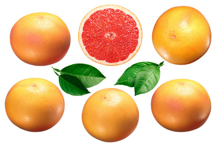 葡萄柚柑橘x Paradis半叶