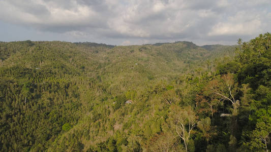 热带雨林和山脉