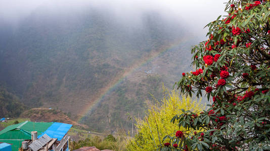 雨后尼泊尔的风景。 山村彩虹和杜鹃花