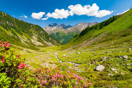 美丽的夏季山脉景观从 notenspitze 山顶在 stubai 蒂罗尔阿尔卑斯山附近新雷根斯伯格山小屋, 奥地利