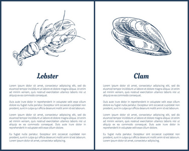 龙虾和克拉姆海报设置矢量插图