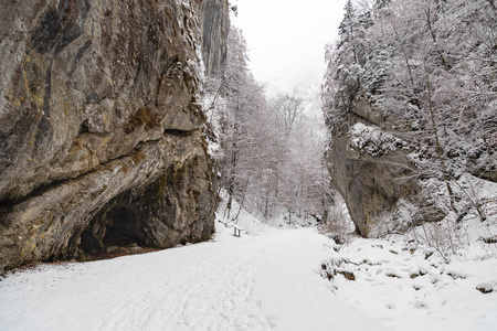 穿过峡谷的道路上覆盖着白雪
