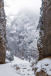 穿过峡谷的道路上覆盖着白雪