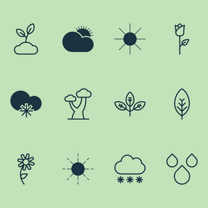 自然图标设置与分支, 太阳, 雨滴和其他植物元素。被隔绝的向量例证自然图标