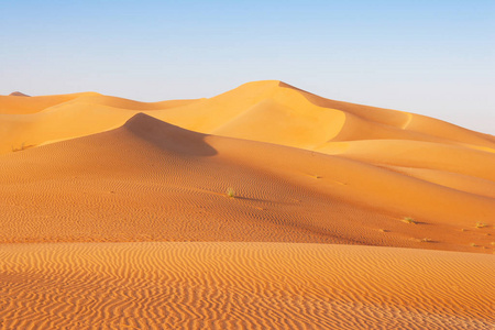 红色或空区的沙丘景观。 横跨沙特阿拉伯阿曼阿联酋和也门，这是世界上最大的沙漠。