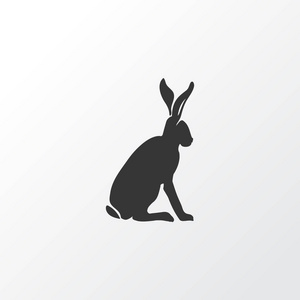 隐藏图标符号。时尚风格的优质隔离兔子元素