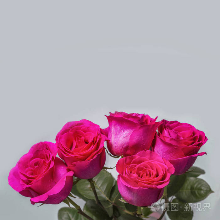 灰色背景五朵粉红色玫瑰花束