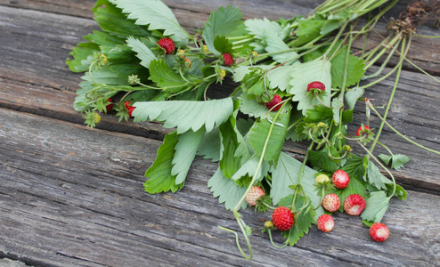 天然有机野生草莓
