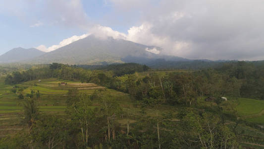 农田和村庄巴厘岛, 印度尼西亚