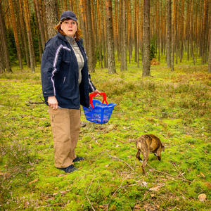 中年妇女和狗在森林里寻找蘑菇