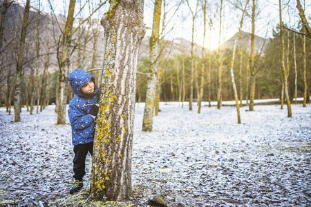 小男孩躲在雪地森林里的一棵树后面照片